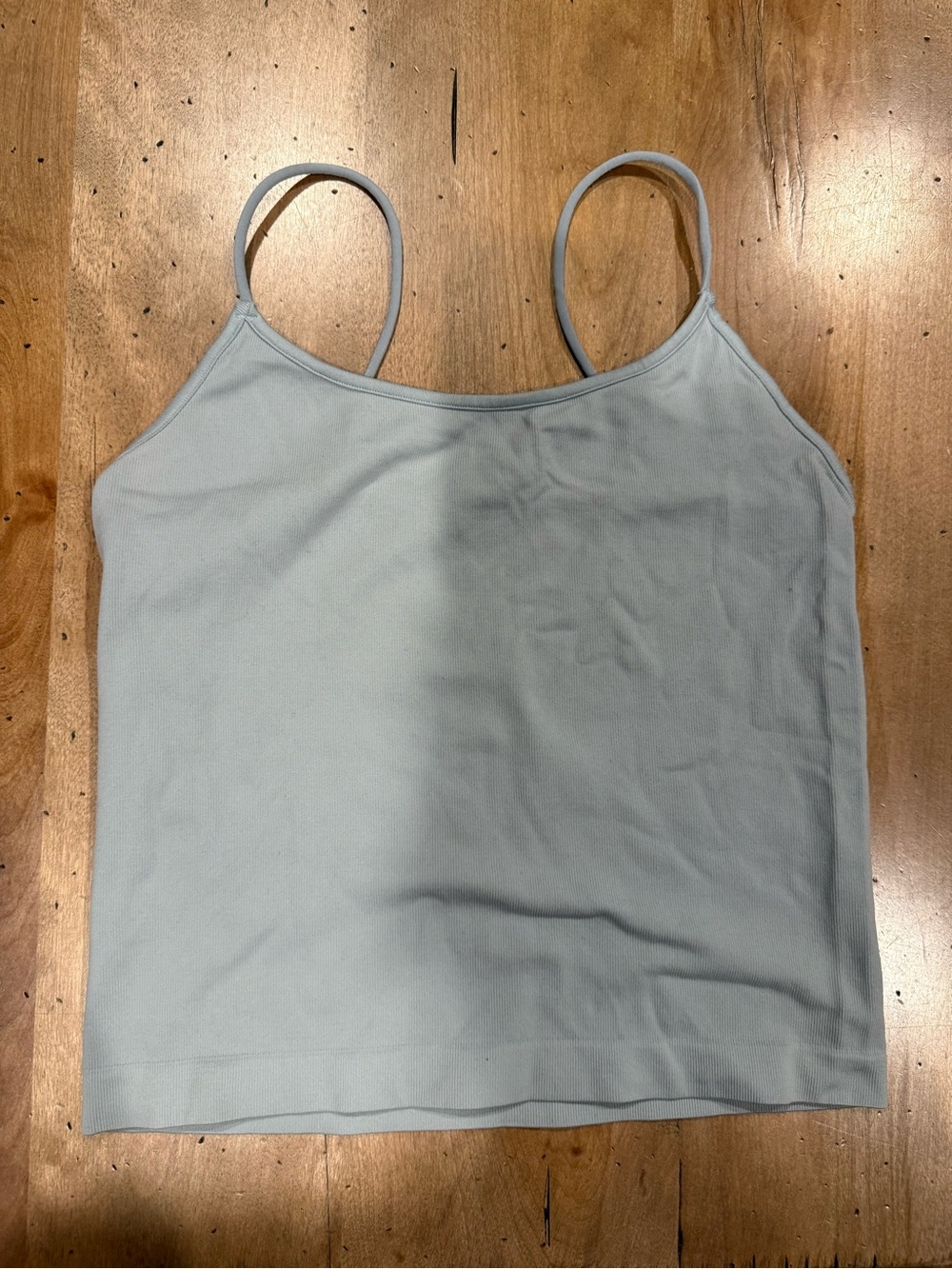 American Eagle Outfitters Pale Blue Spaghetti Strap Camisole